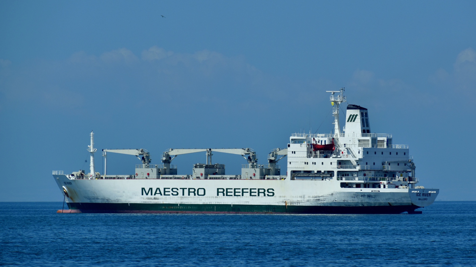 Грузовое судно MAESTRO REEFERS в море 