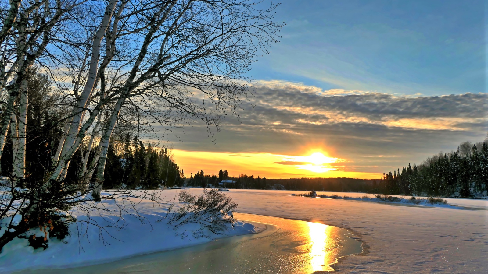 Birches on the banks of an ice-covered river at sunset in winter