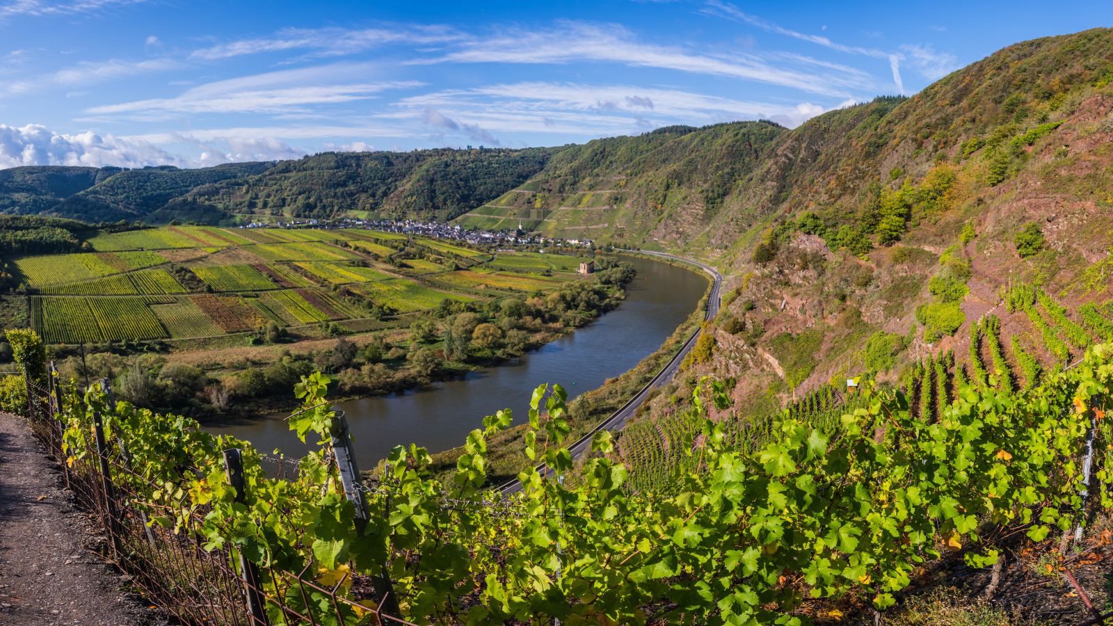 Вид на виноградники у реки под голубым небом, Германия 