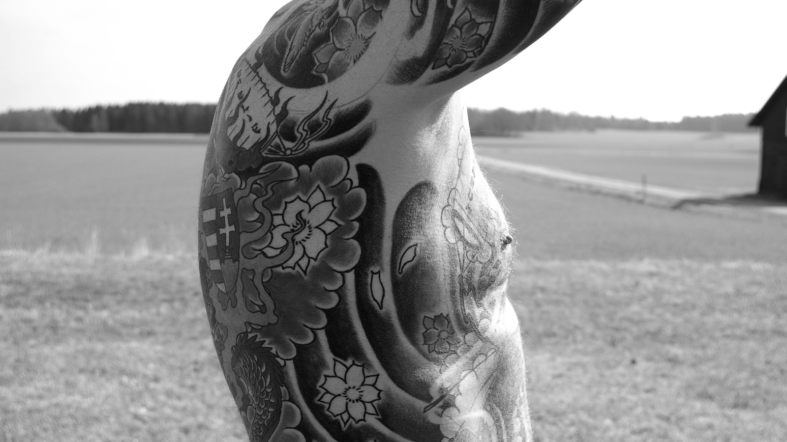 Татуировки на теле мужчины 