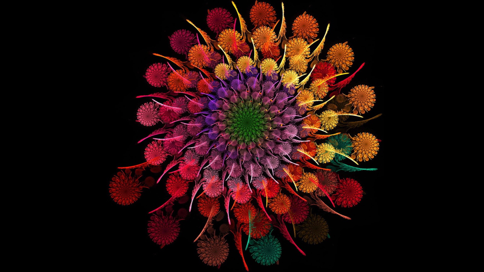 Beautiful multicolored abstract flowers in spirals on a black background