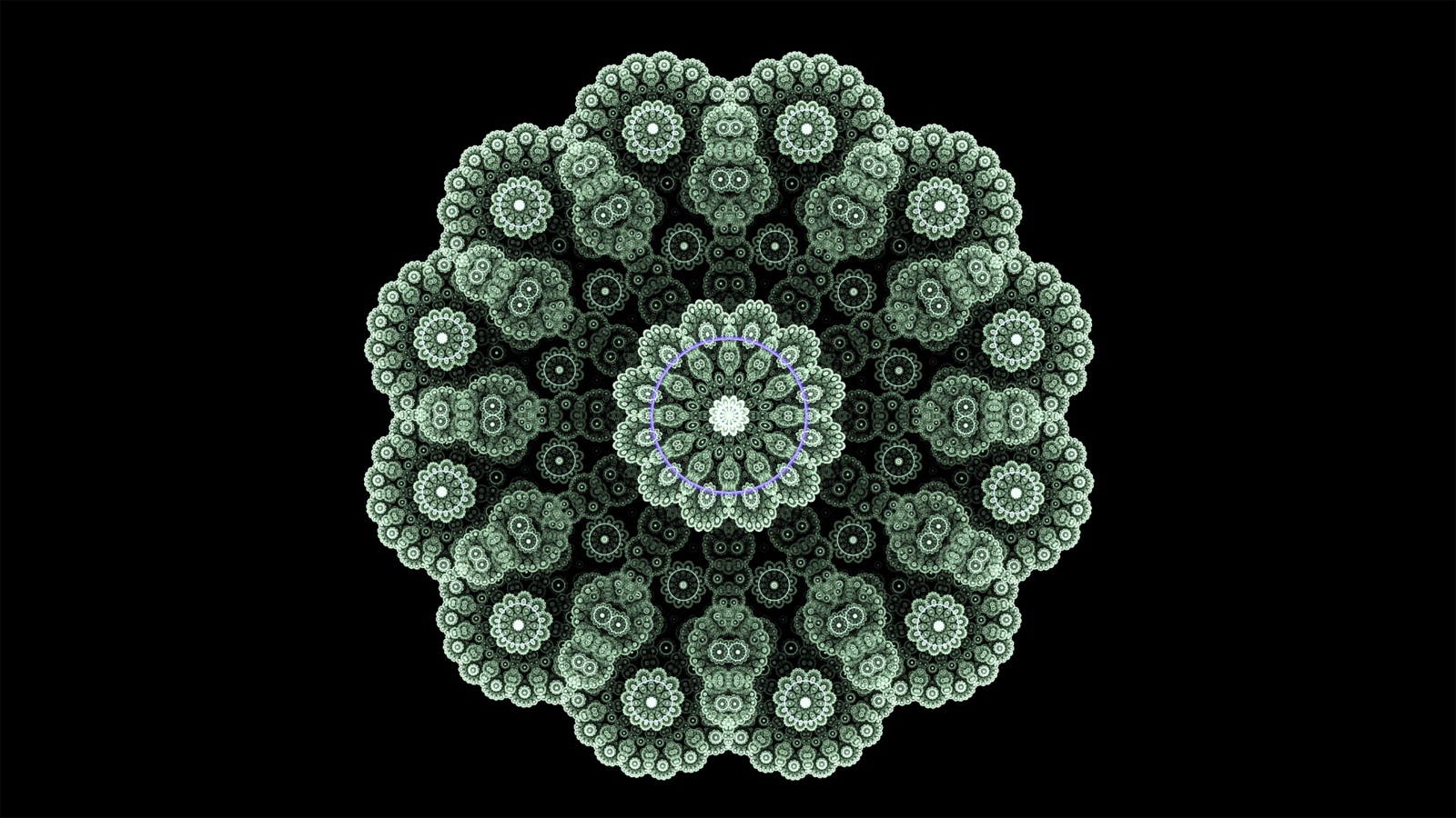 Кружевной зеленый фрактальный цветок на черном фоне