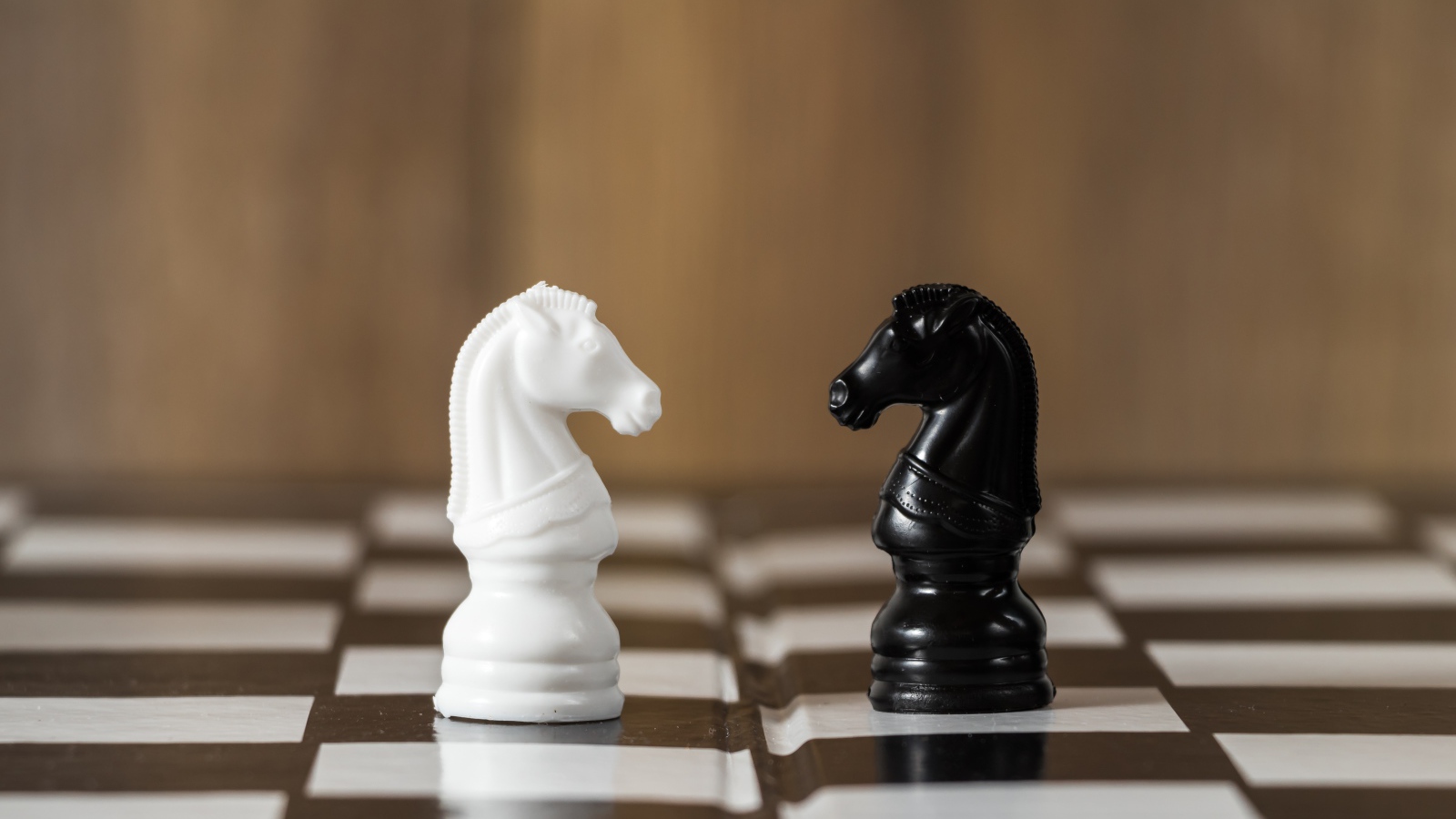 Черный и белый шахматный конь