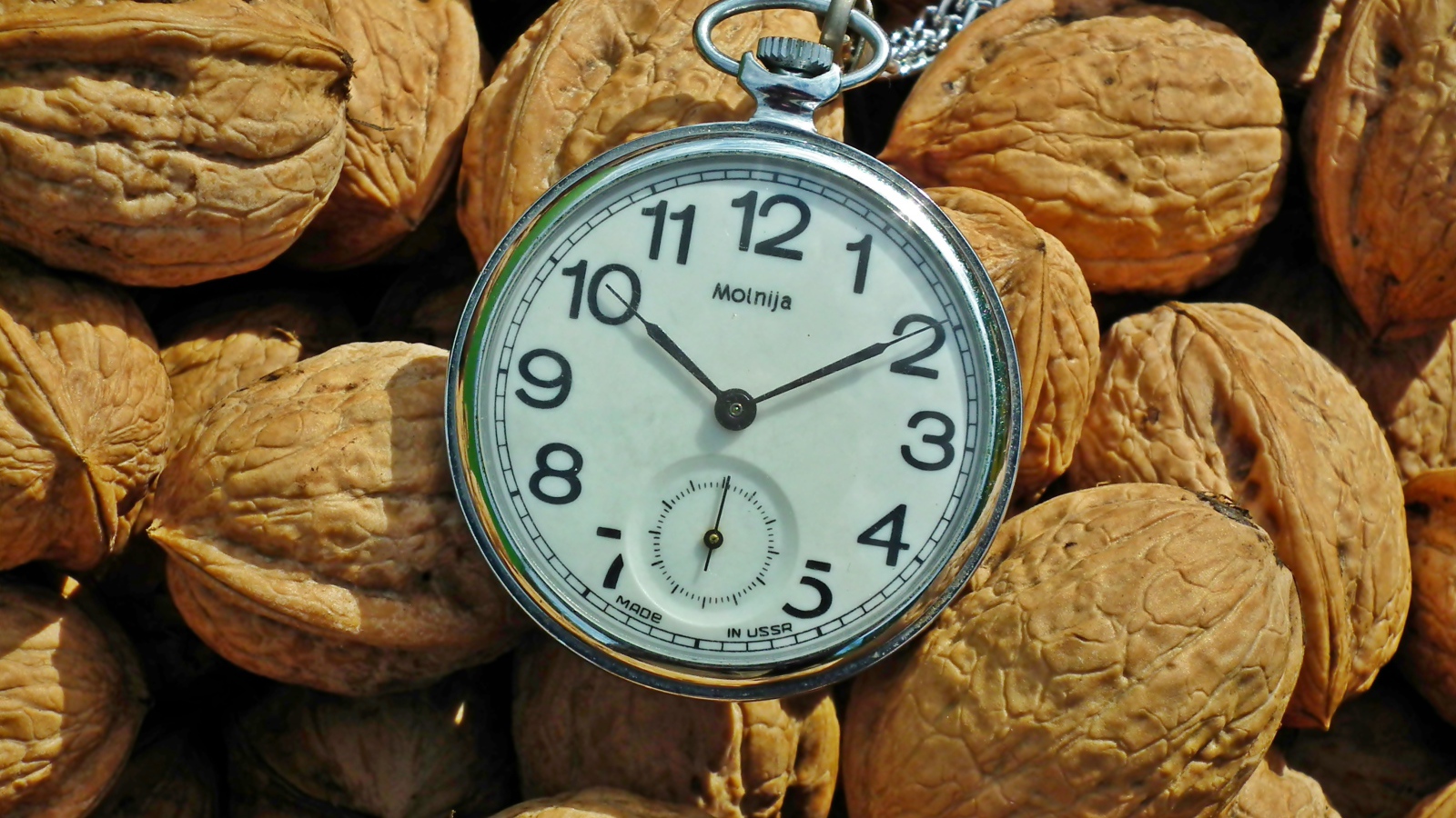 Карманные часы с грецкими орехами 