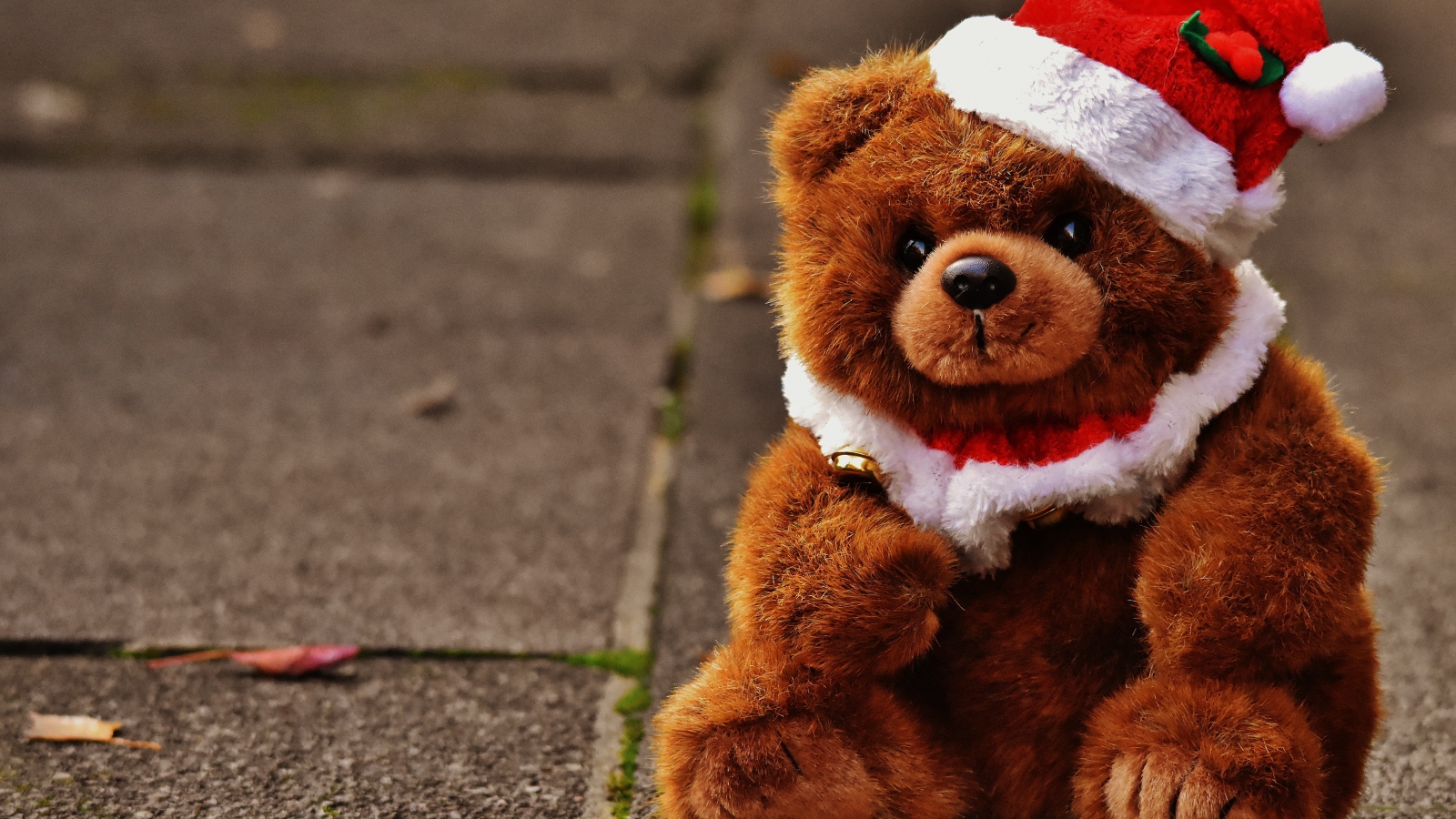 Плюшевый мишка в новогоднем колпаке 