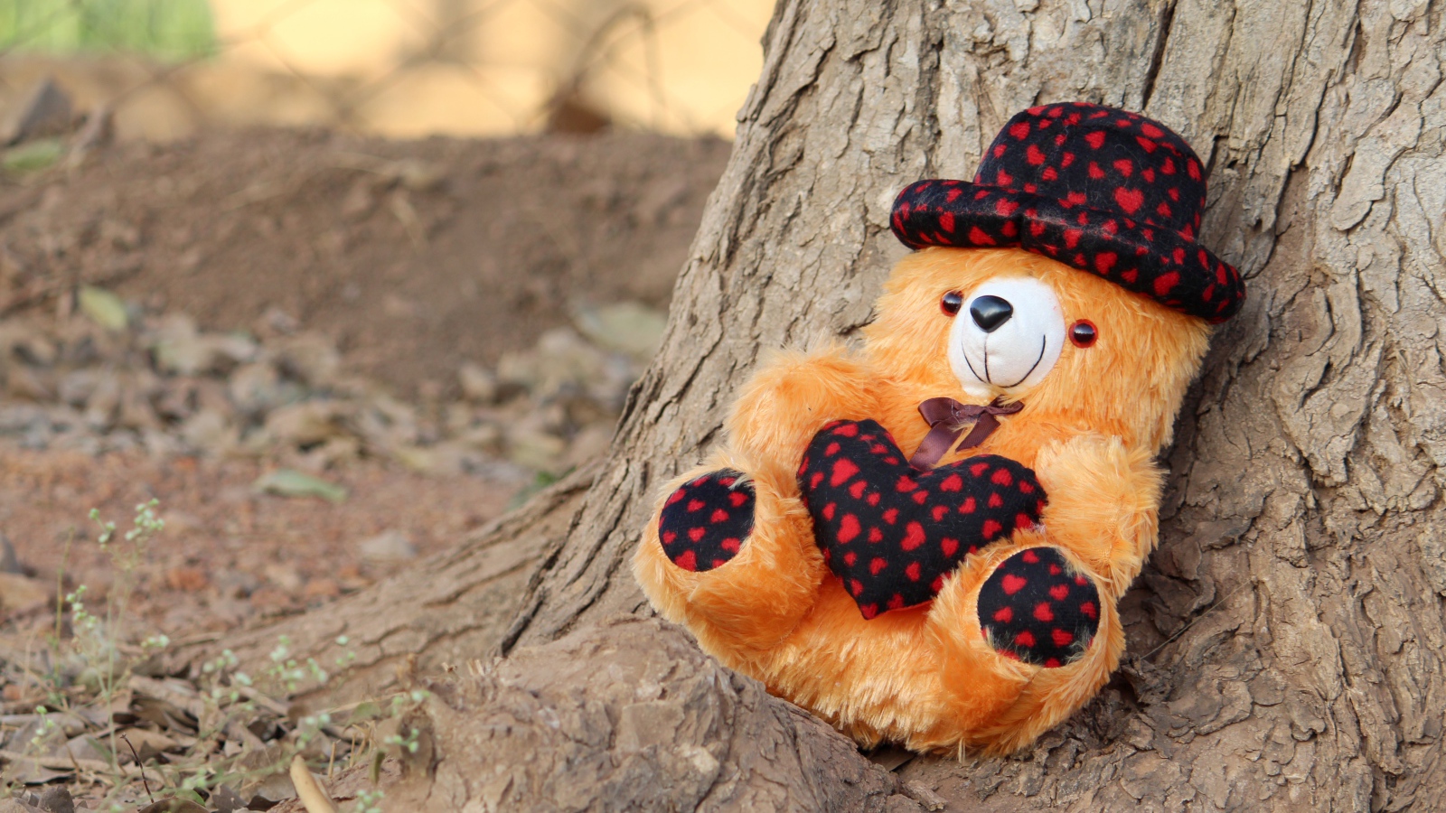 Медвежонок Тедди лежит под деревом