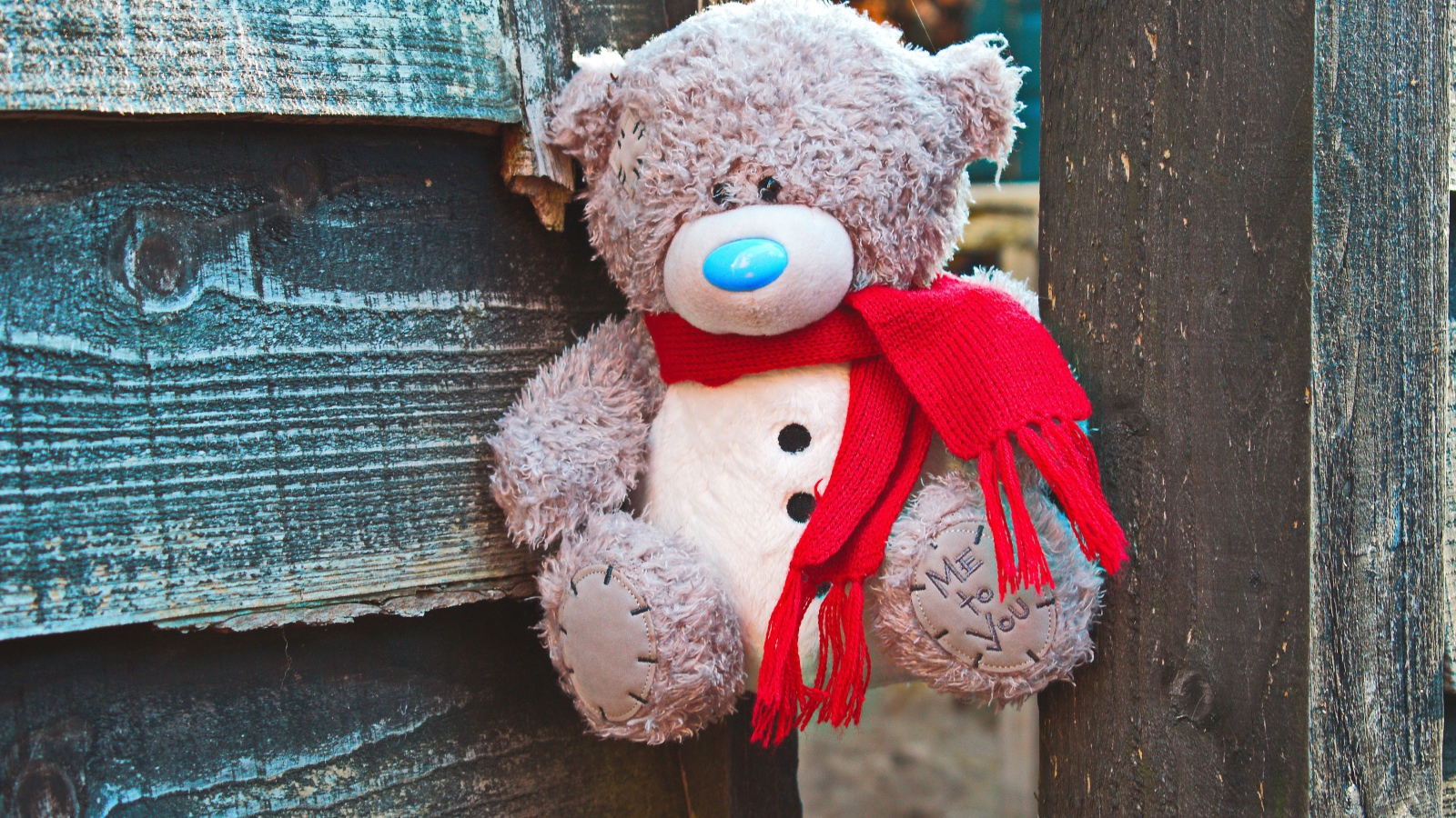 Медвежонок Тедди с красным бантом на заборе 