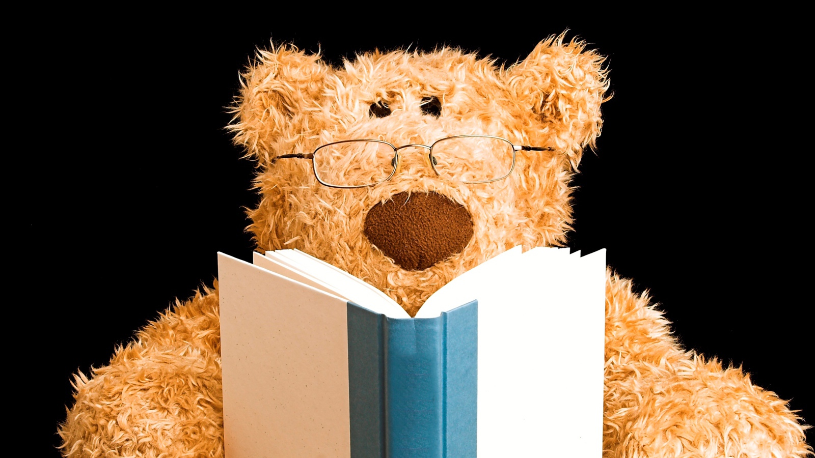 Игрушечный медведь в очках с книгой на черном фоне