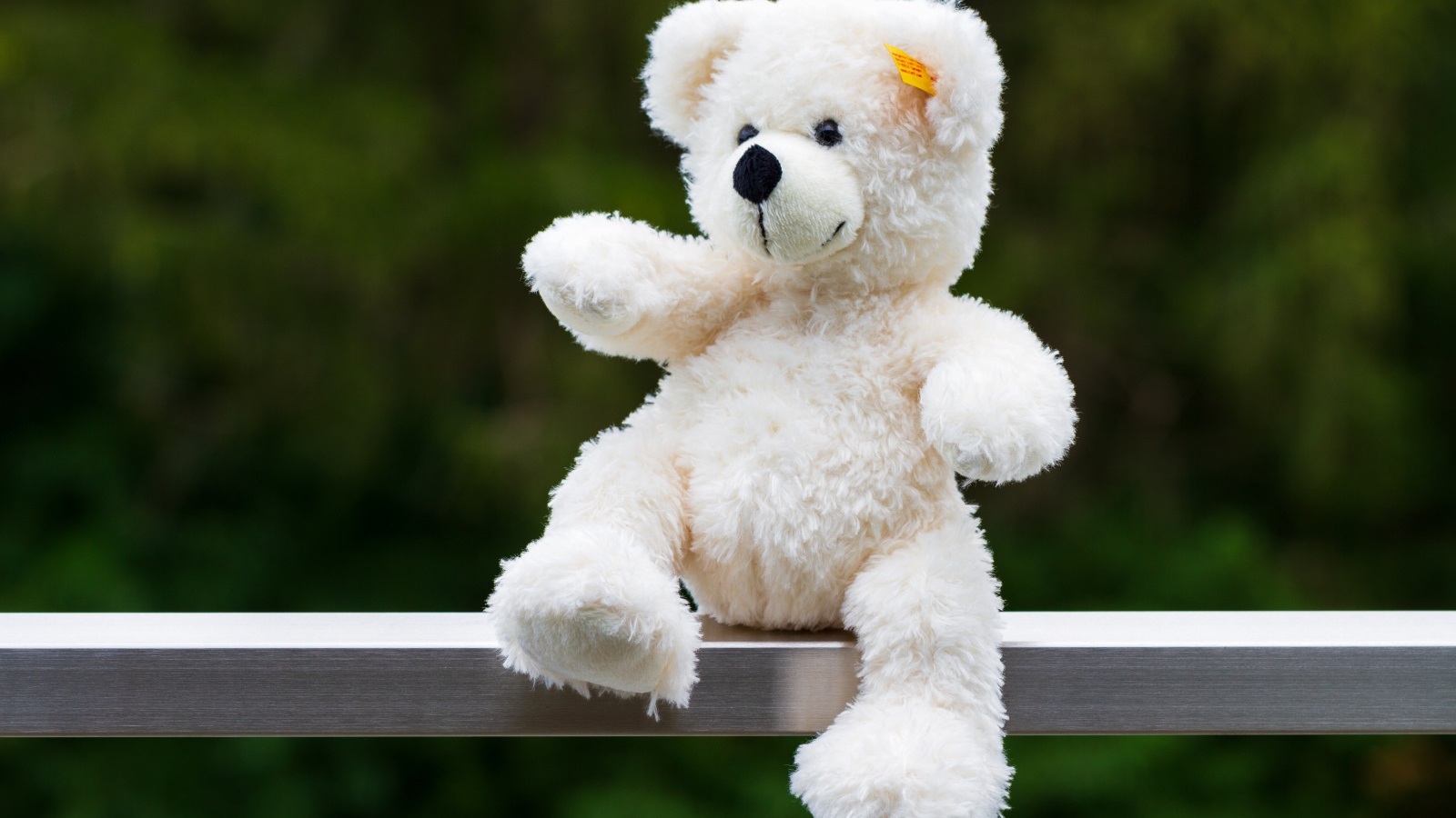 Белый плюшевый медведь сидит на деревянной доске