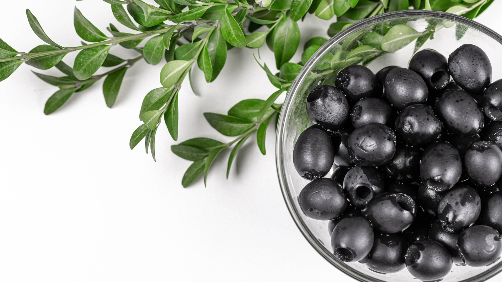 Черные маслины с веткой на белом фоне