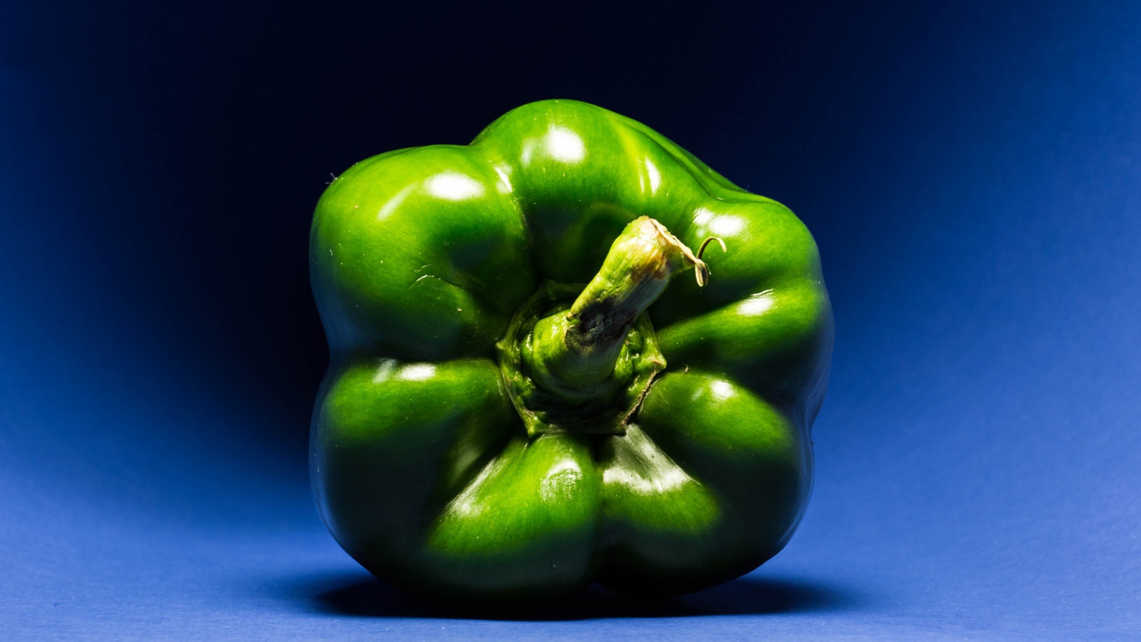 Зеленый перец паприка на синем фоне