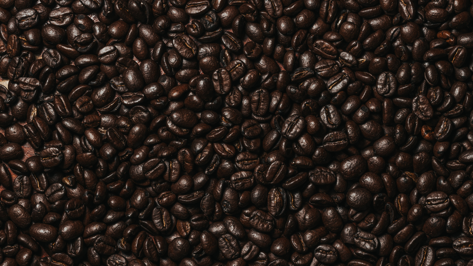 Много ароматных жареных зерен кофе крупным планом 