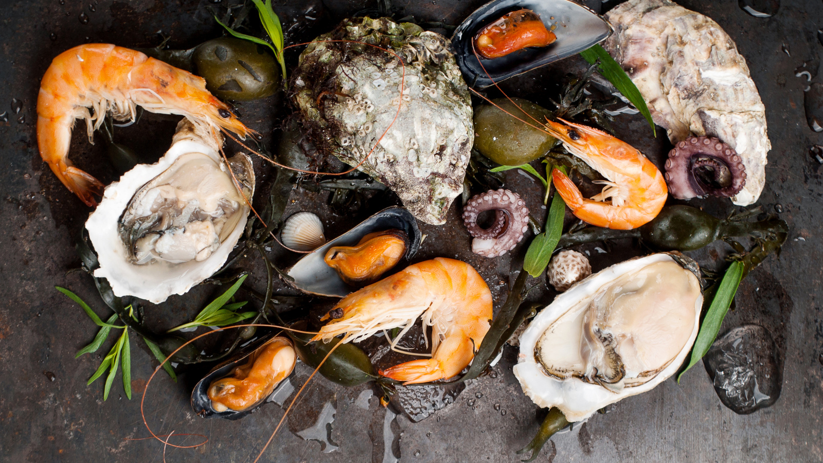 Мидии и креветки на черном столе 