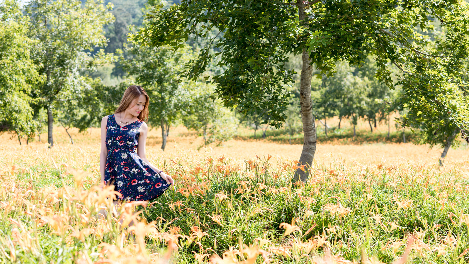 Красивая азиатка гуляет по высокой траве