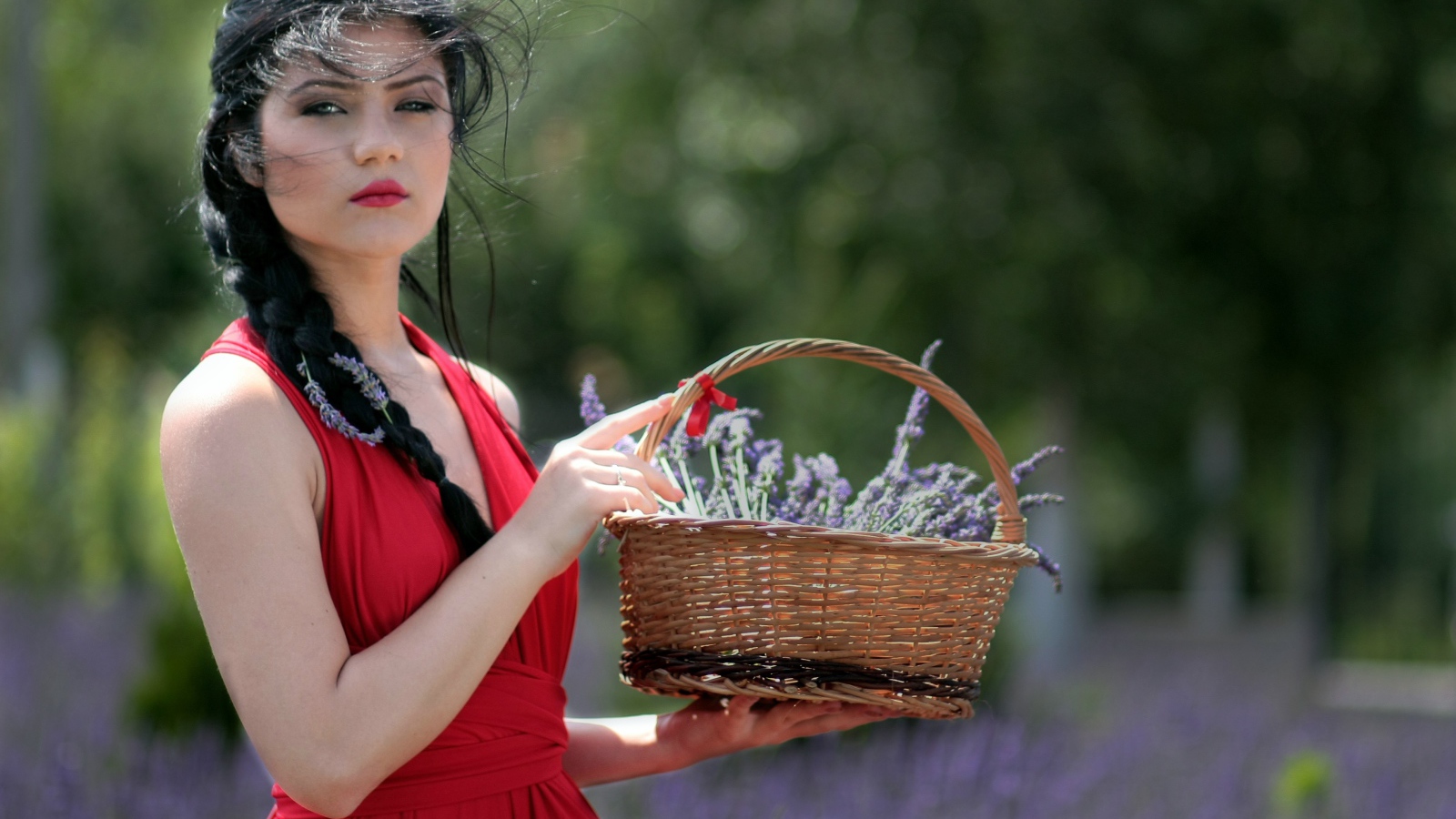 Брюнетка в красном платье с корзиной цветов лаванды