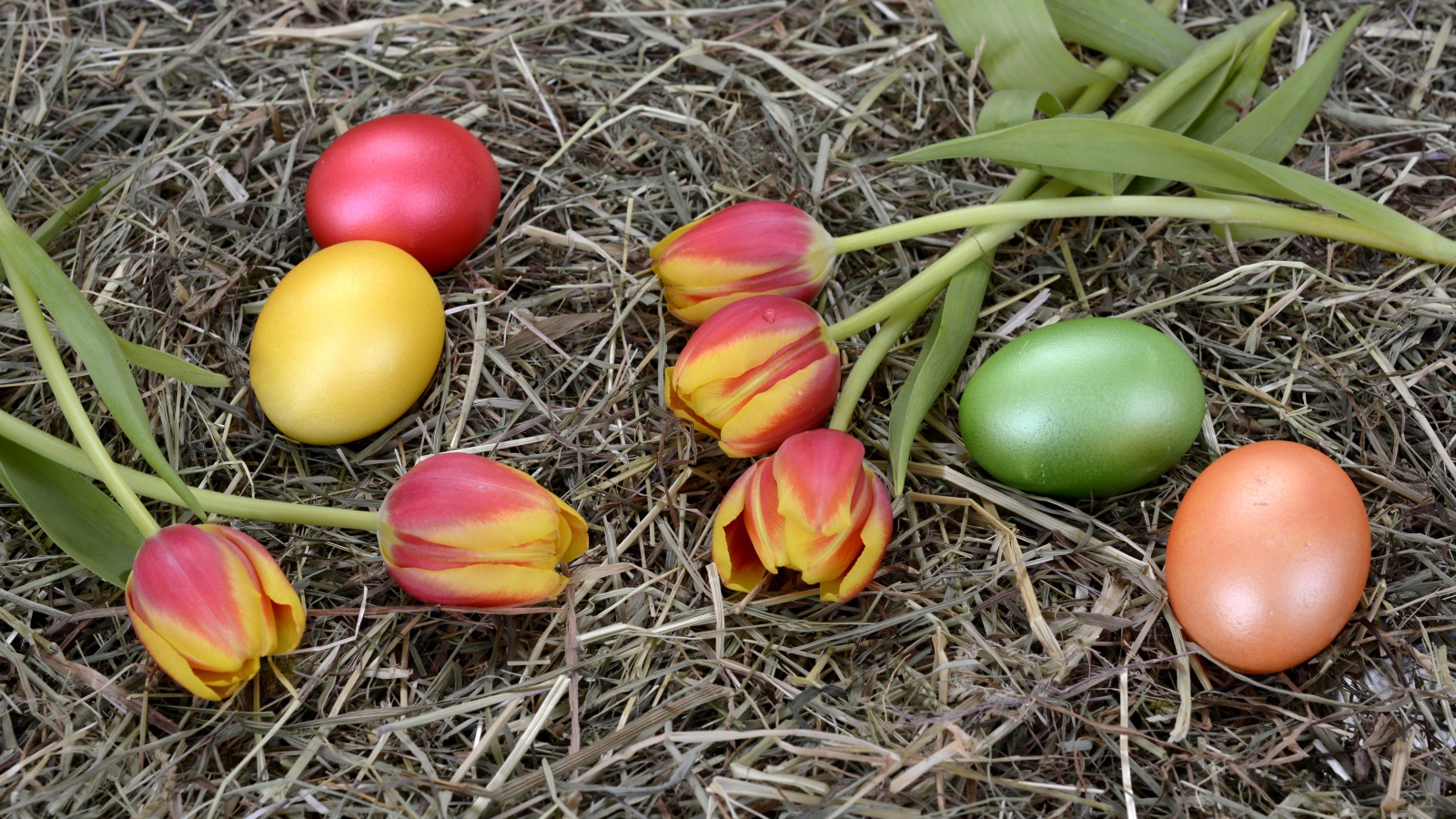 Крашеные яйца с тюльпанами на сене на праздник Пасха 2021