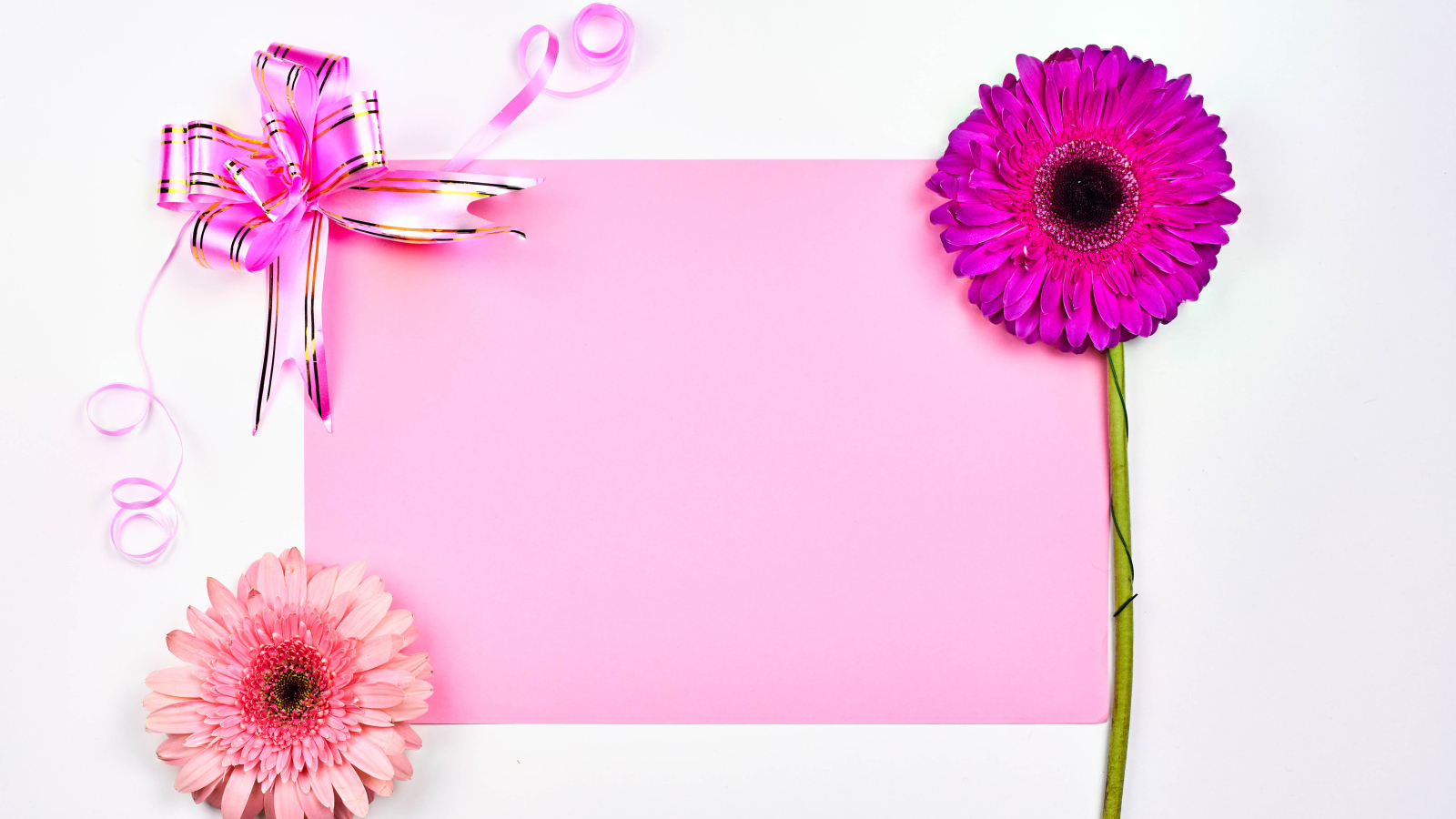 Фон для поздравительной открытки на 8 марта с герберами