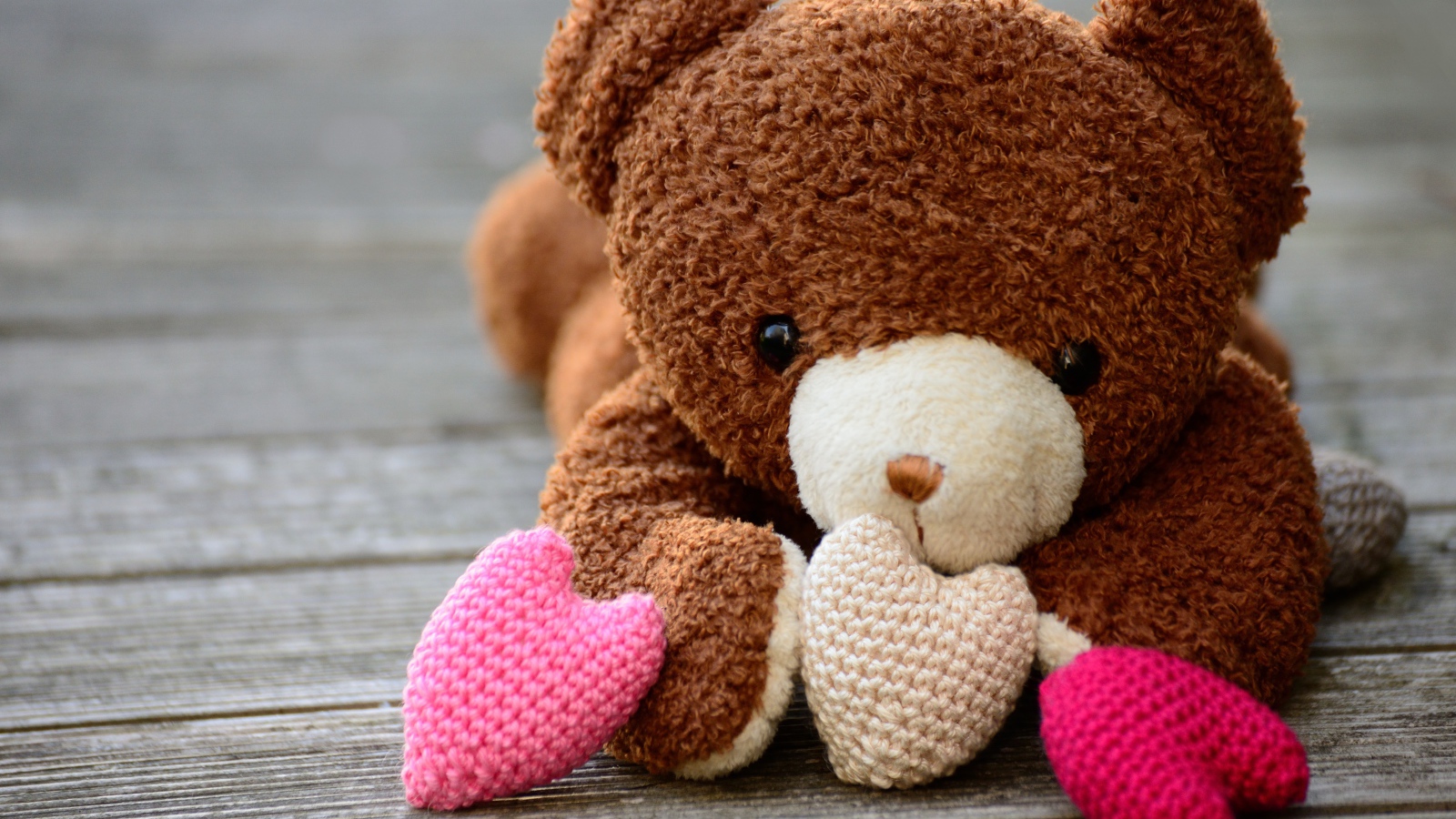 Teddy bear with knitted hearts
