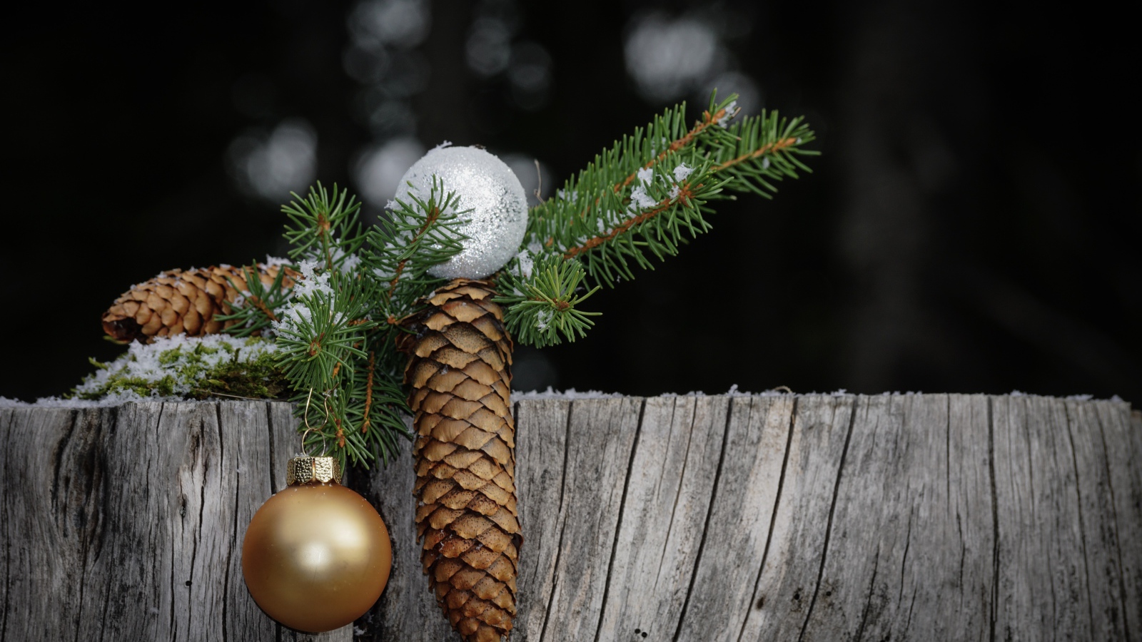 Зеленая ветка ели с шишкой и шариком на пне 