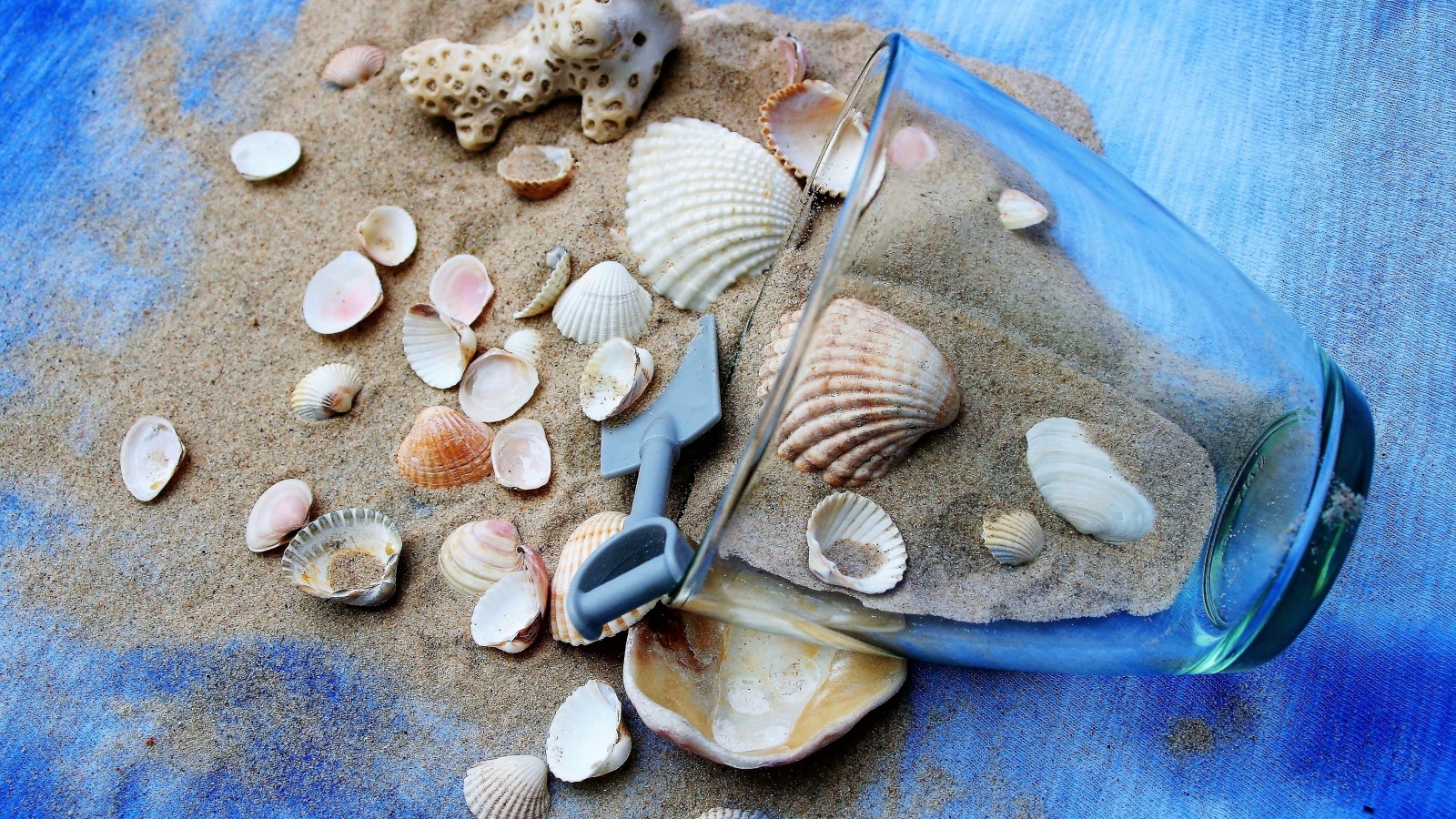 Морские ракушки и чашка с песком на пляже 