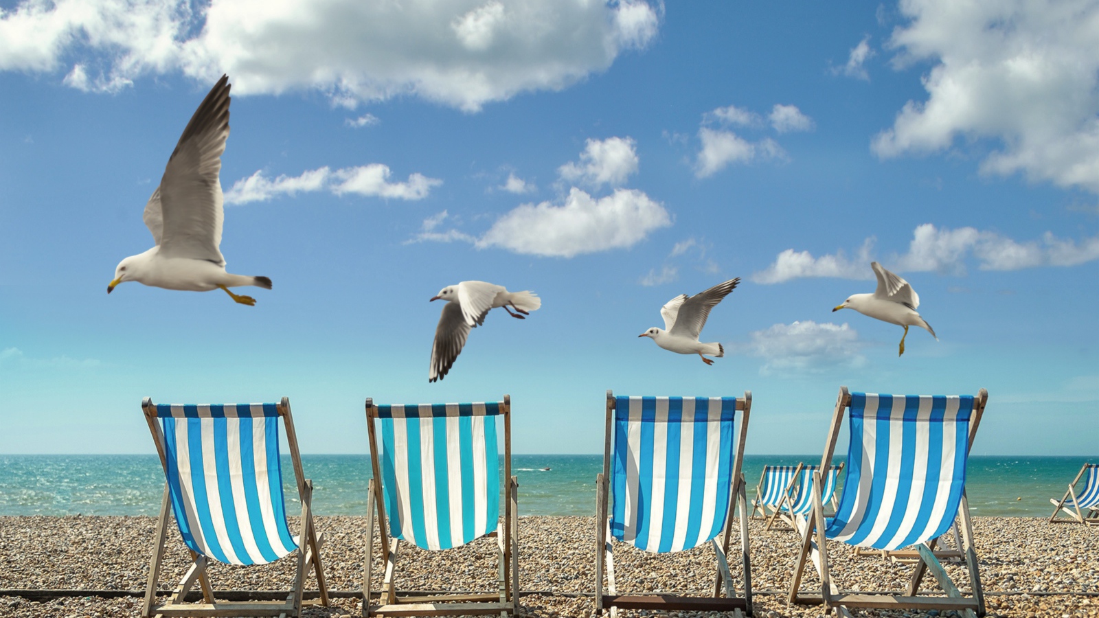 Шезлонги стоят на желтом песке у моря