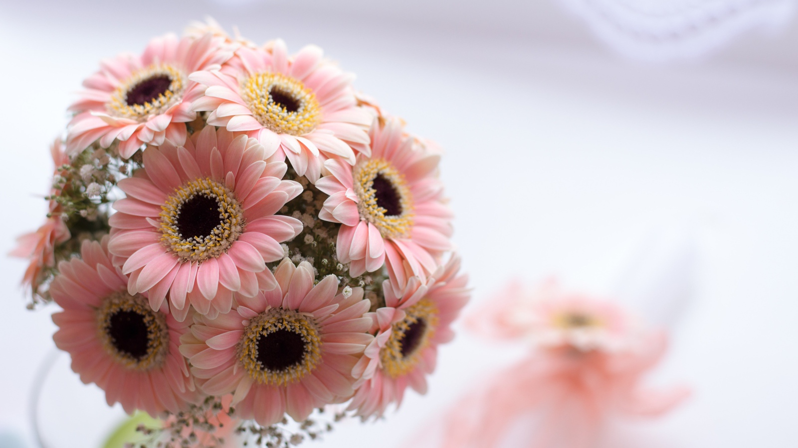 Букет розовых цветов герберы на столе