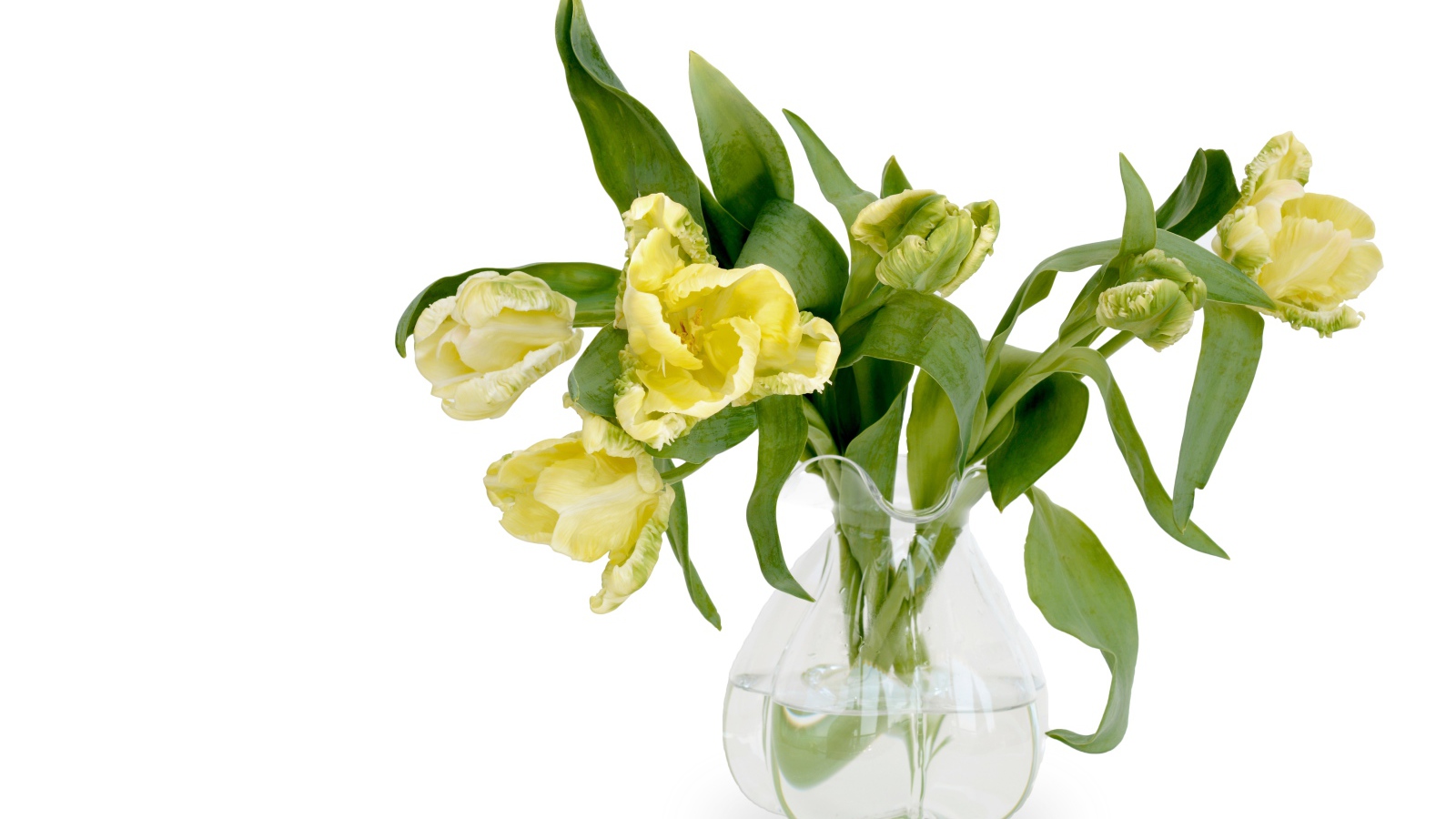 Букет необычных желтых тюльпанов в стеклянной вазе