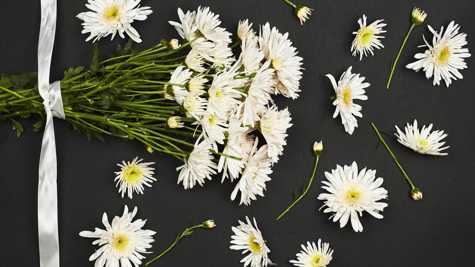 Букет белых хризантем на черном фоне