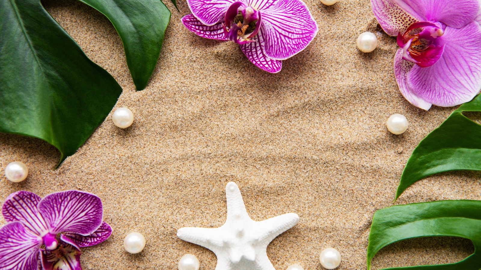 Розовые цветы орхидеи на песке с морской звездой