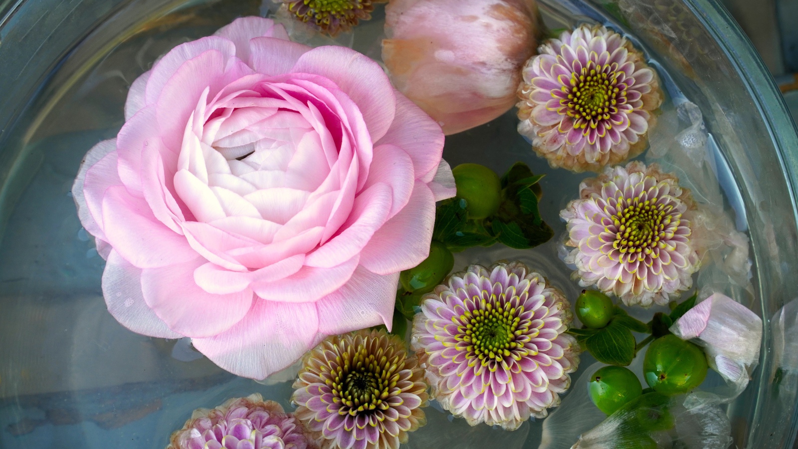 Розовая роза с хризантемами в воде