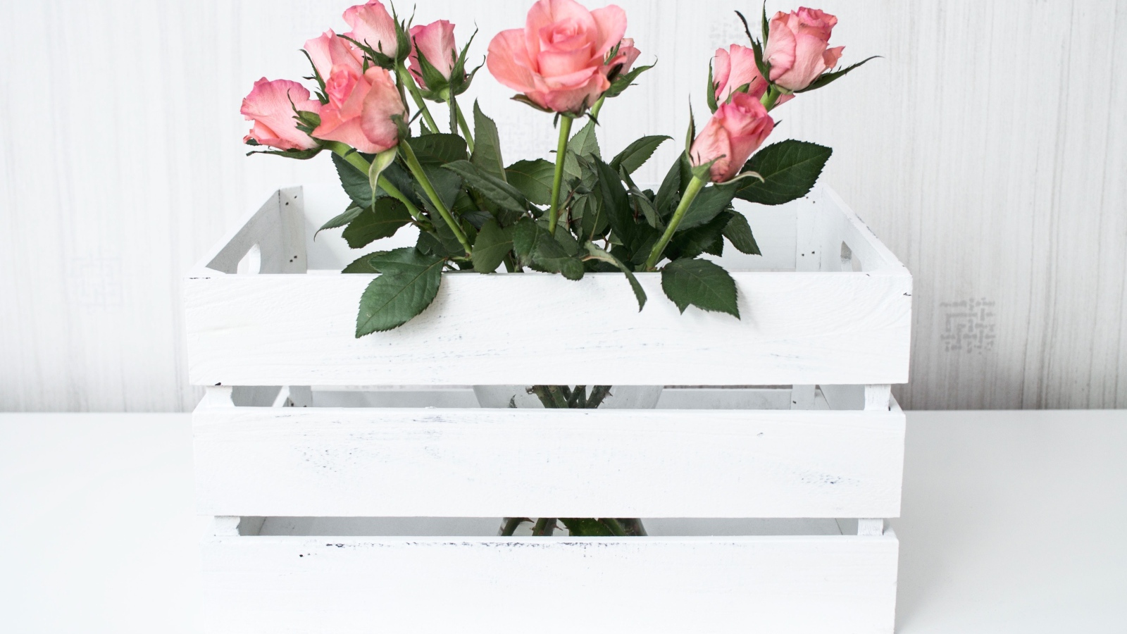 Розовые розы в белом деревянном ящике