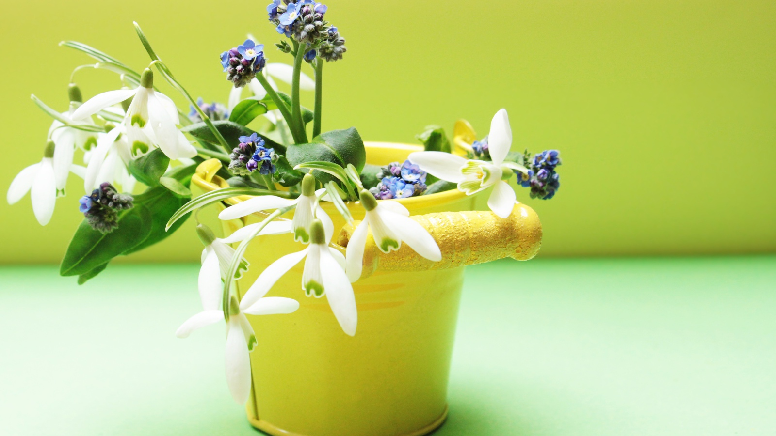 Маленькое желтое ведерко с весенними цветами