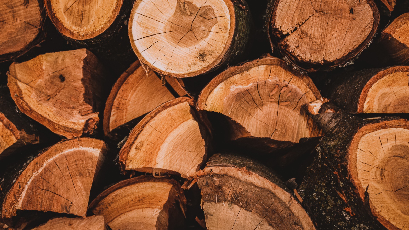 Рубленные дрова крупным планом