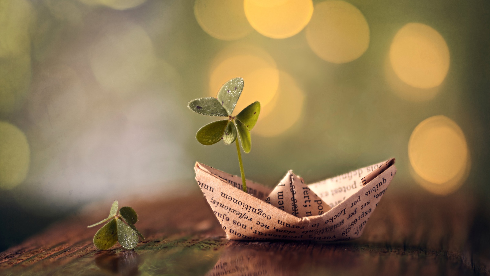 Бумажный кораблик с зеленым листом клевера