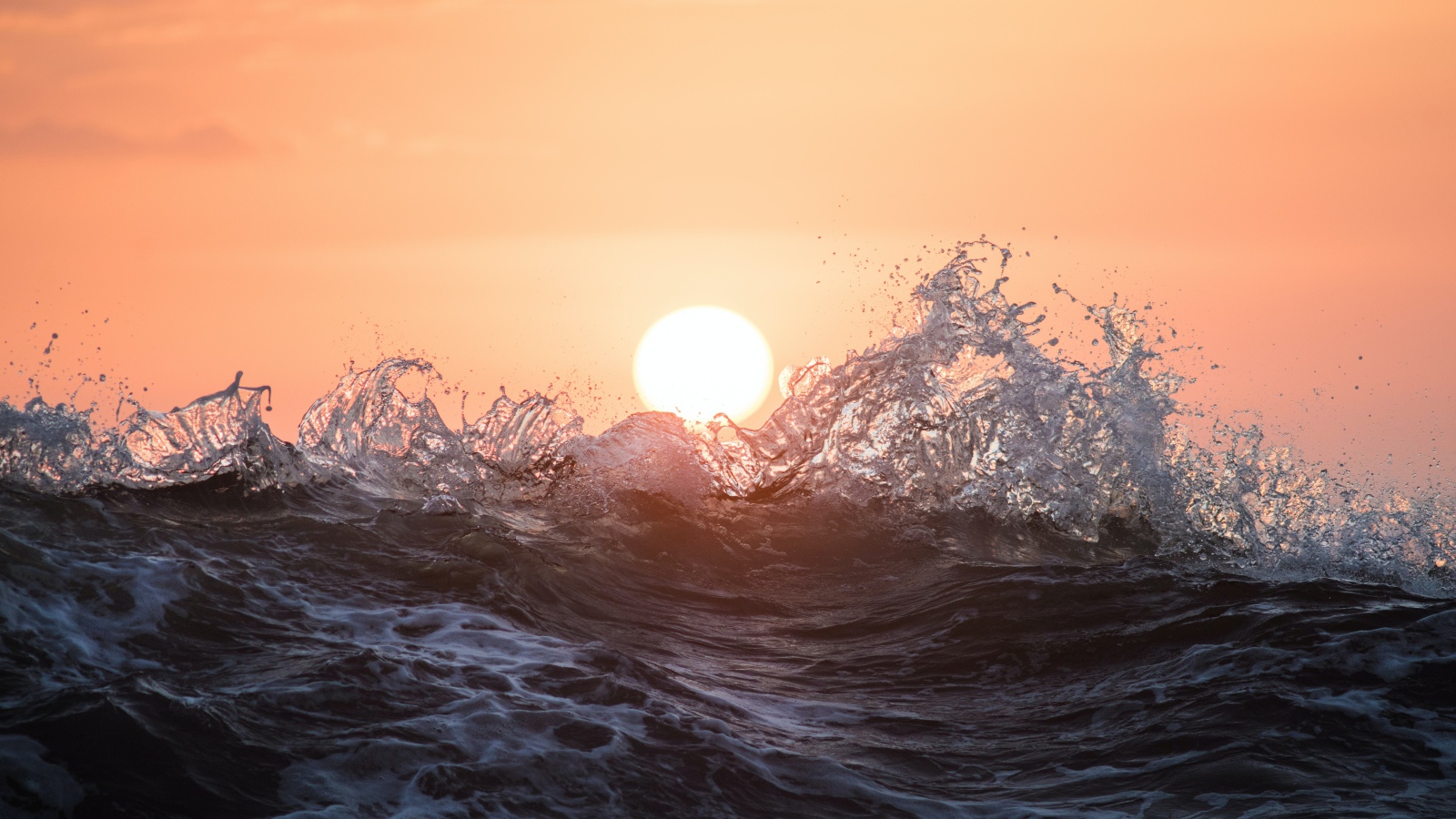 Морские волны в лучах солнца