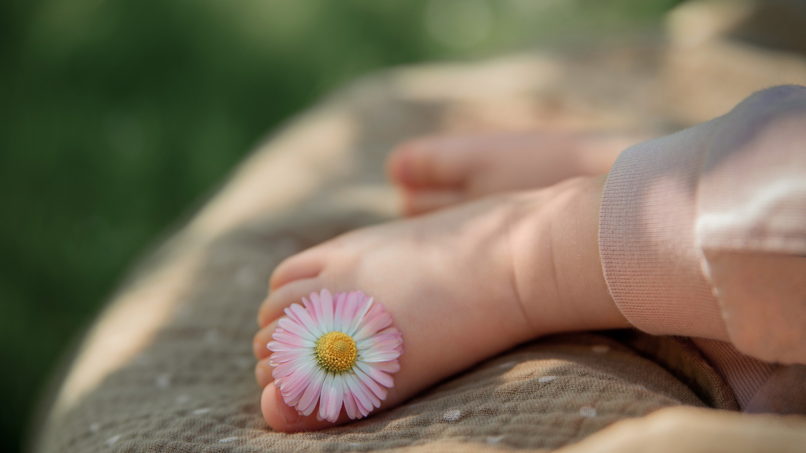 Нога ребенка с цветком маргаритки