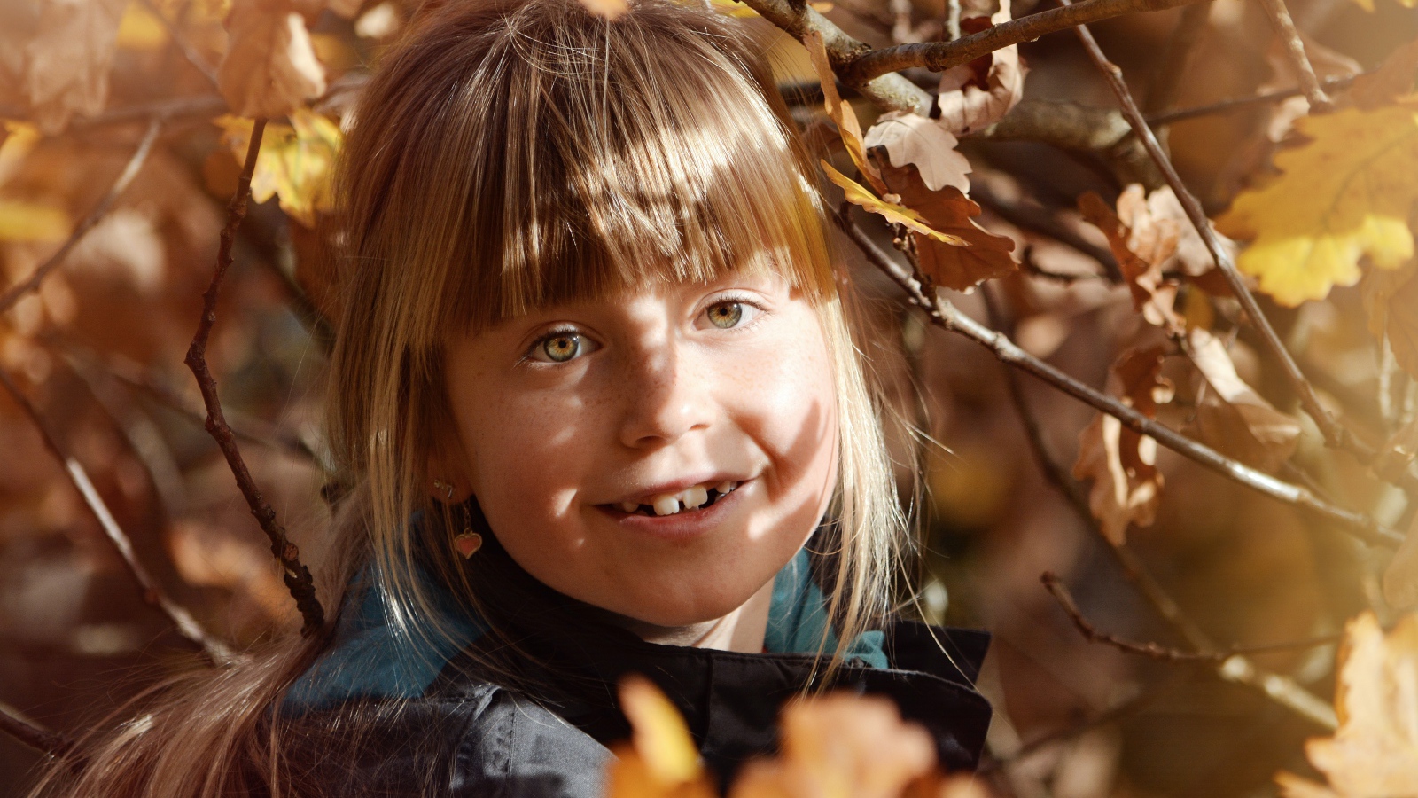 Маленькая девочка в ветках дерева осенью 