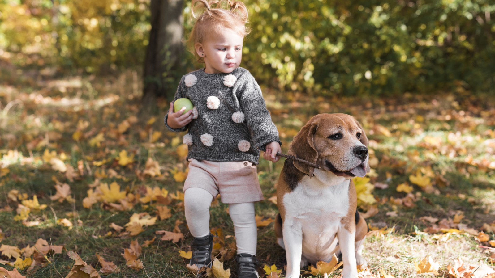 Маленькая девочка с собакой породы бигль в осеннем парке 