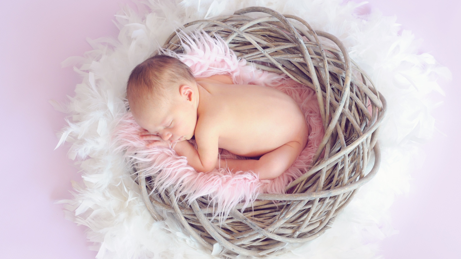 Новорожденный ребенок спит в гнезде на сером фоне