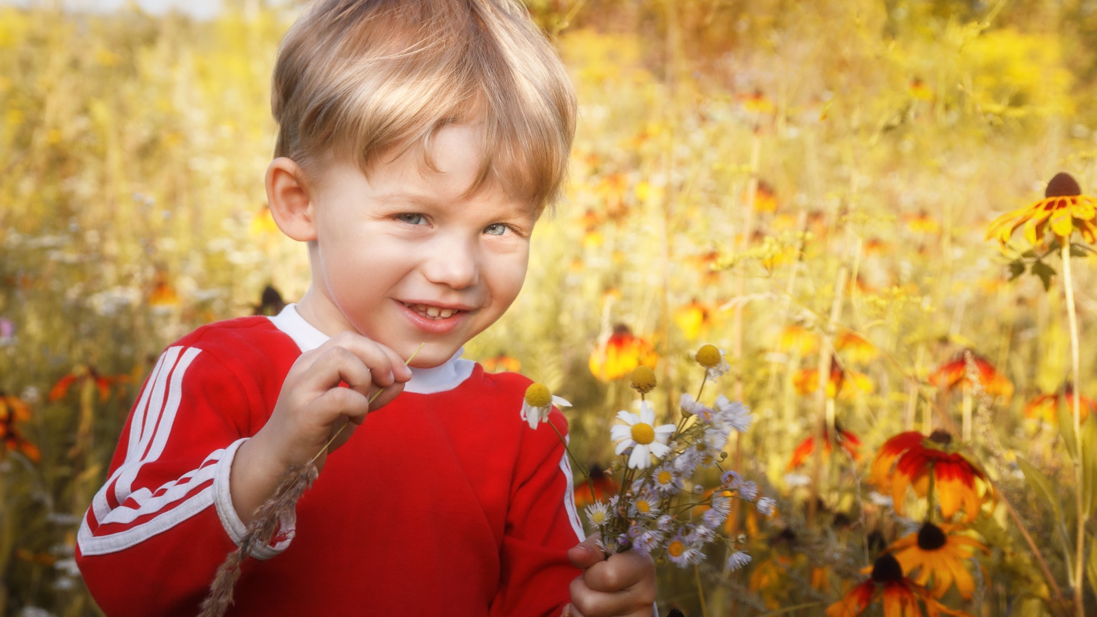 Улыбающийся голубоглазый мальчик с полевыми цветами 