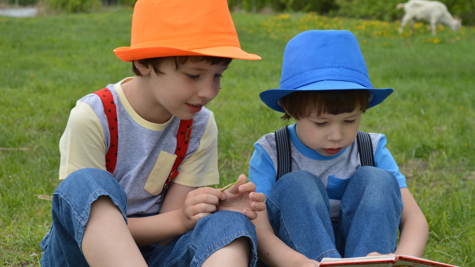Два мальчика с книгой сидят на траве
