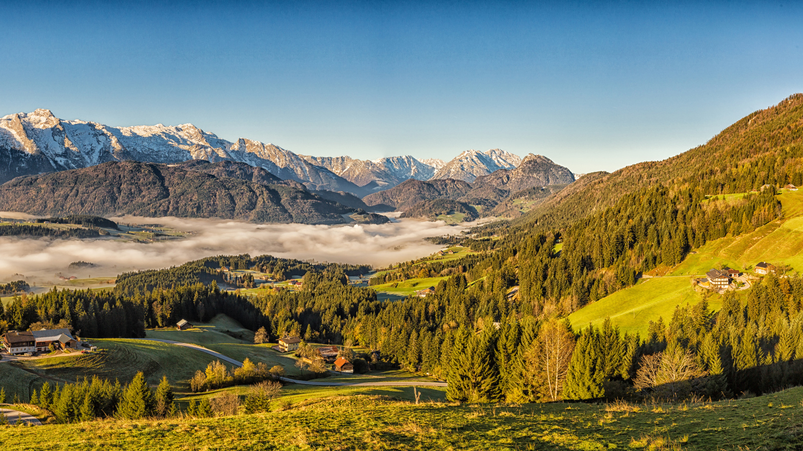 Красивый вид на горы Альпы покрытые зеленым лесом, Австрия 