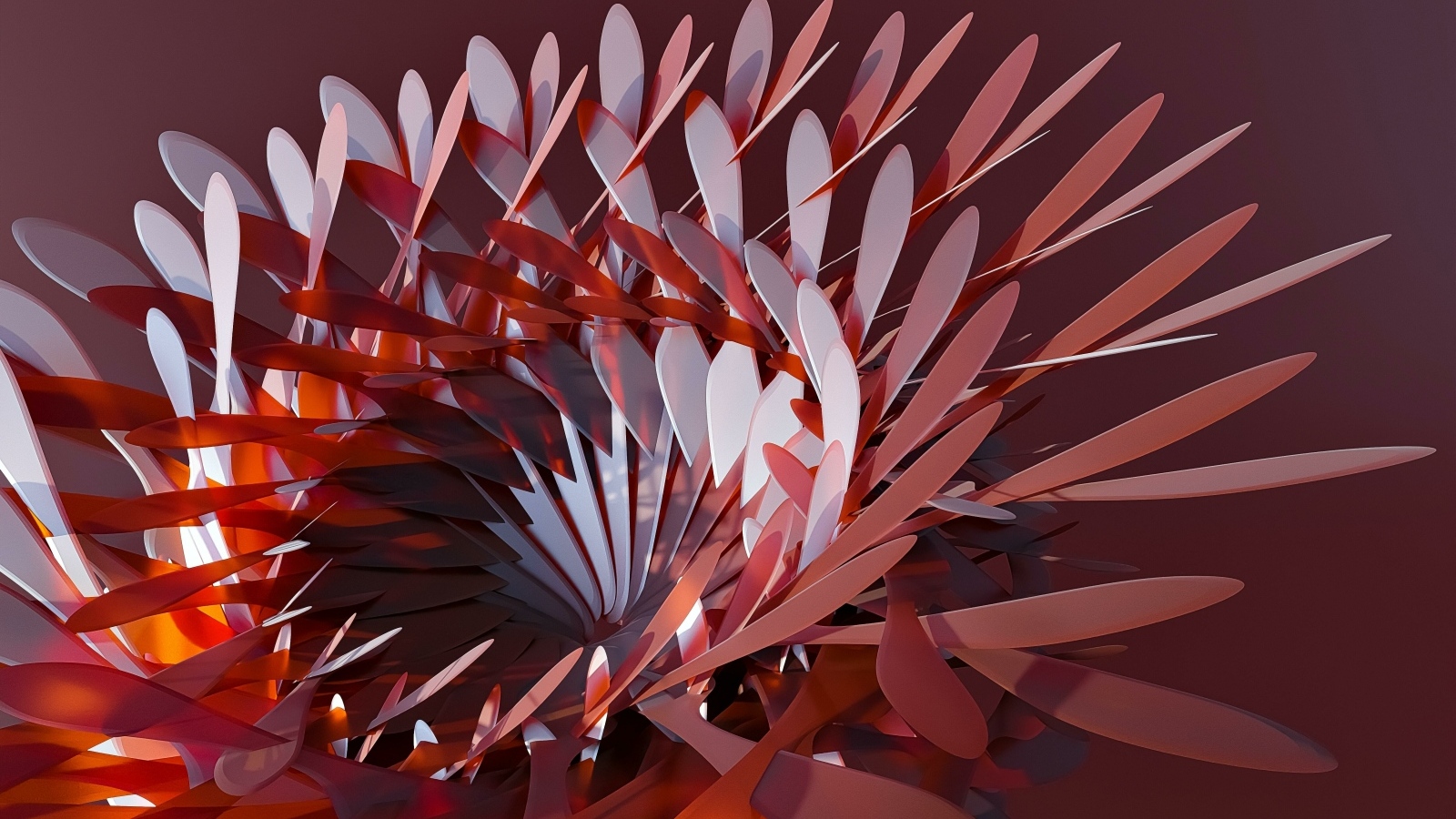 Абстрактный цветок на коричневом фоне