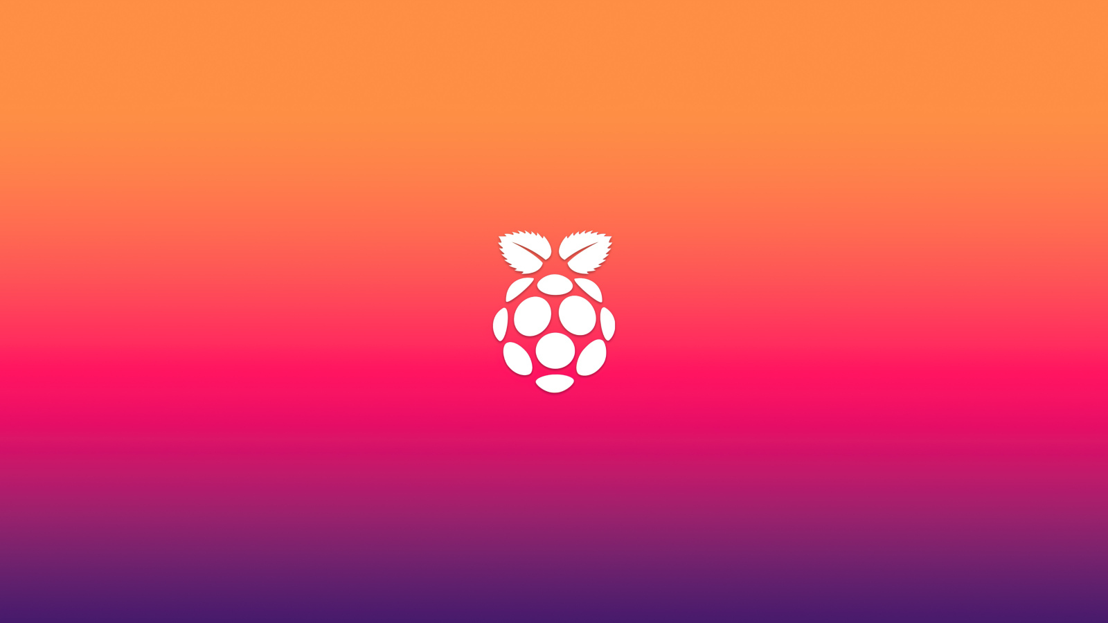 Белая ягода на розовом фоне