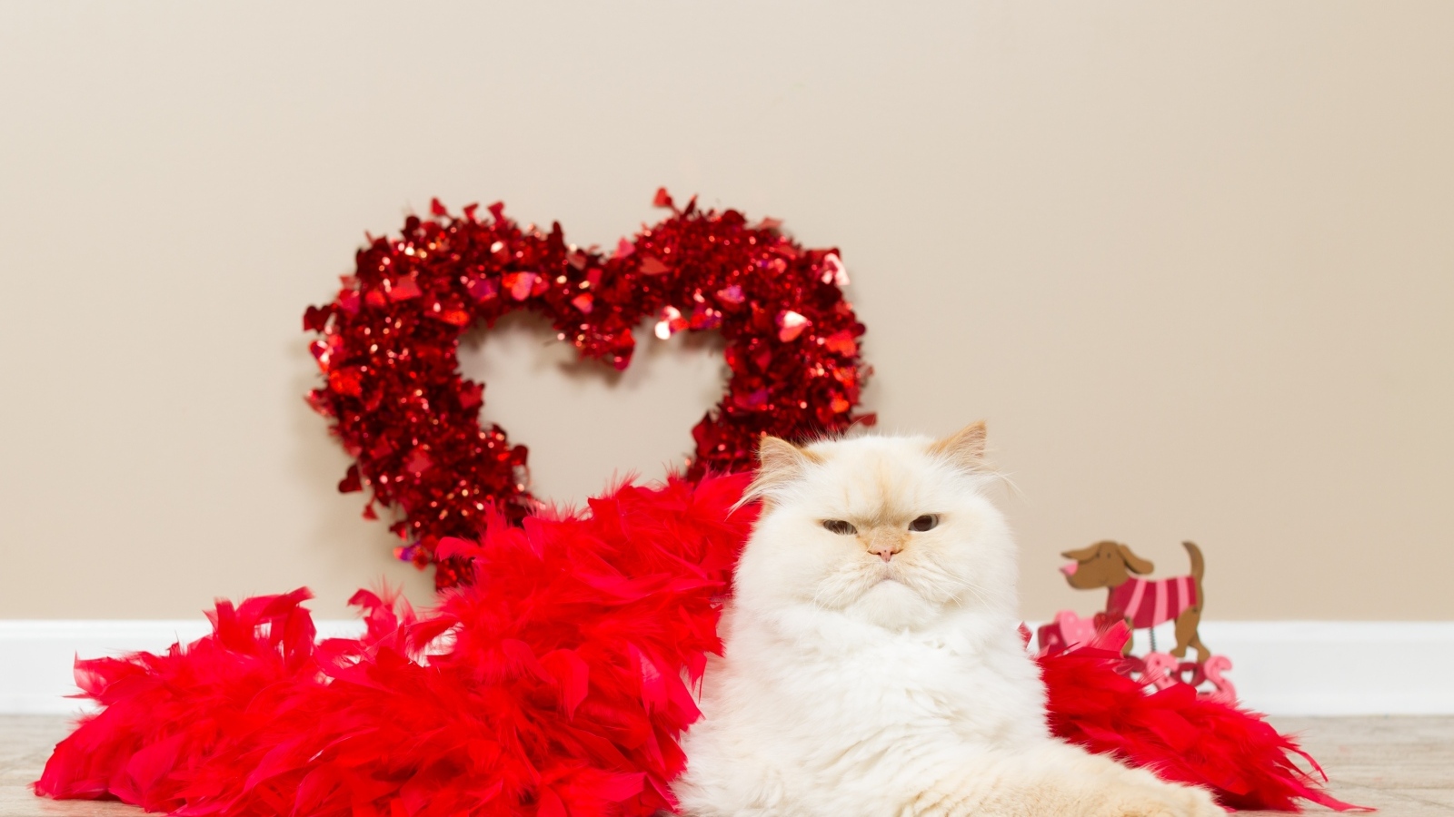 Большой пушистый кот с красным сердцем
