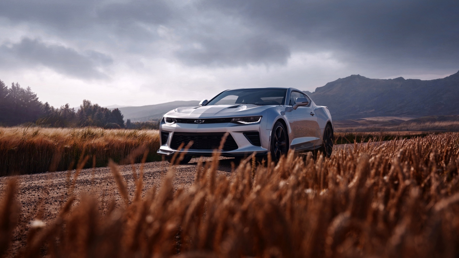 Автомобиль Chevrolet Camaro SS на дороге