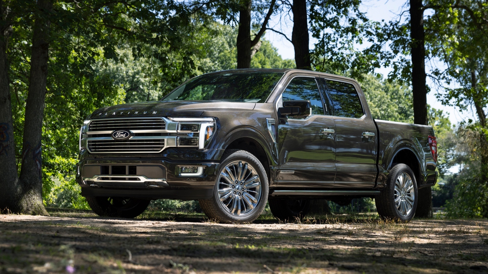 Большой пикап Ford F-150 Platinum 2024 года