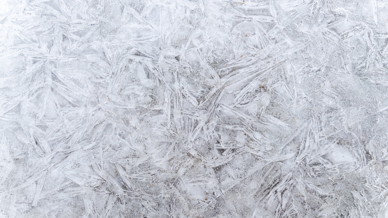 Стена покрашена белой краской для фона