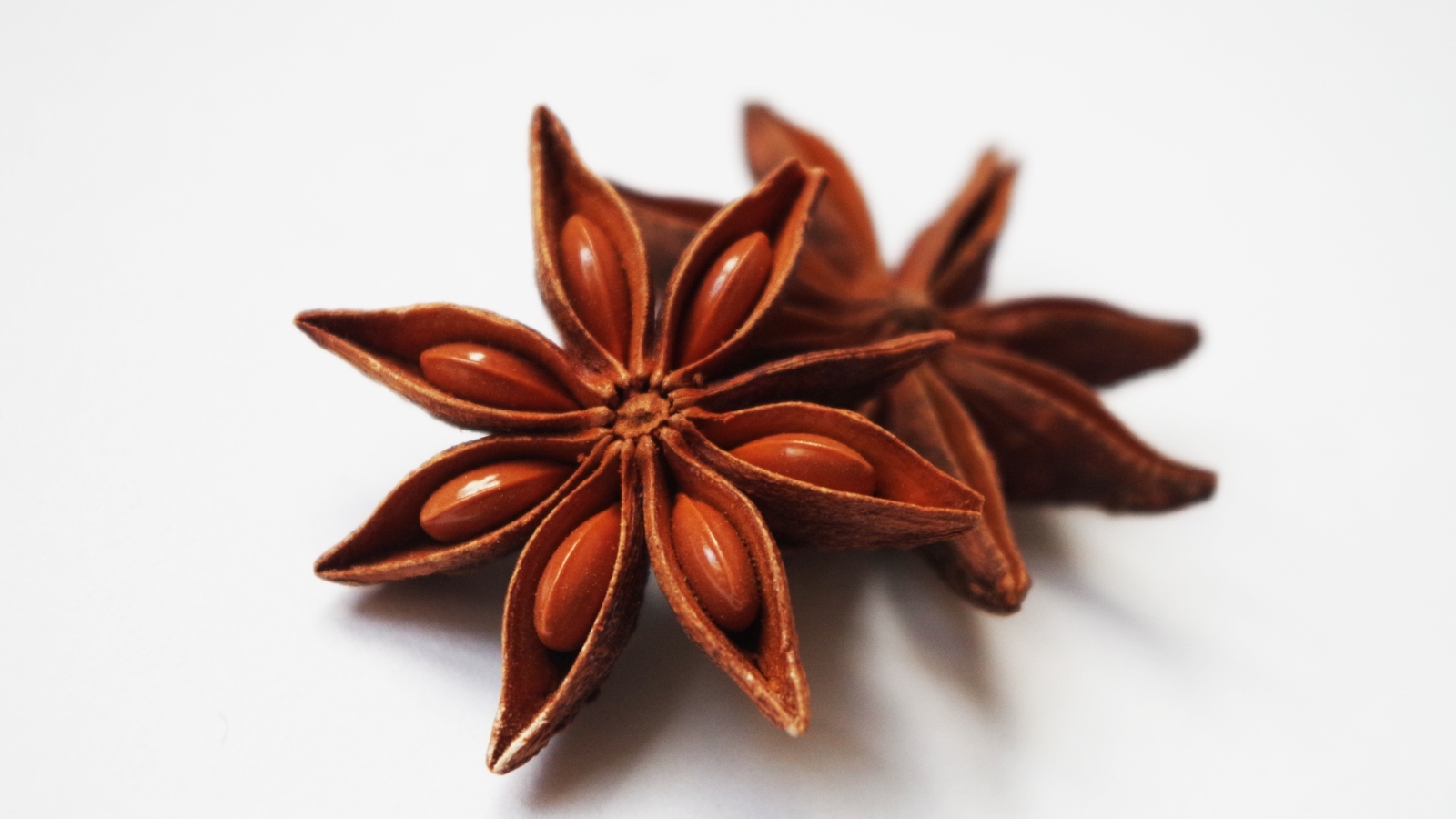 Звезды аниса на белом фоне