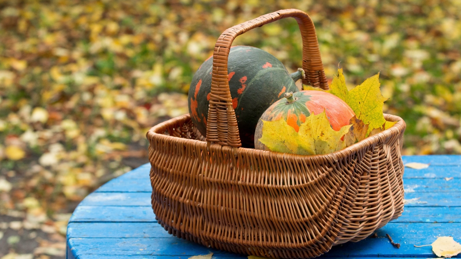 Корзина с тыквой осенью 
